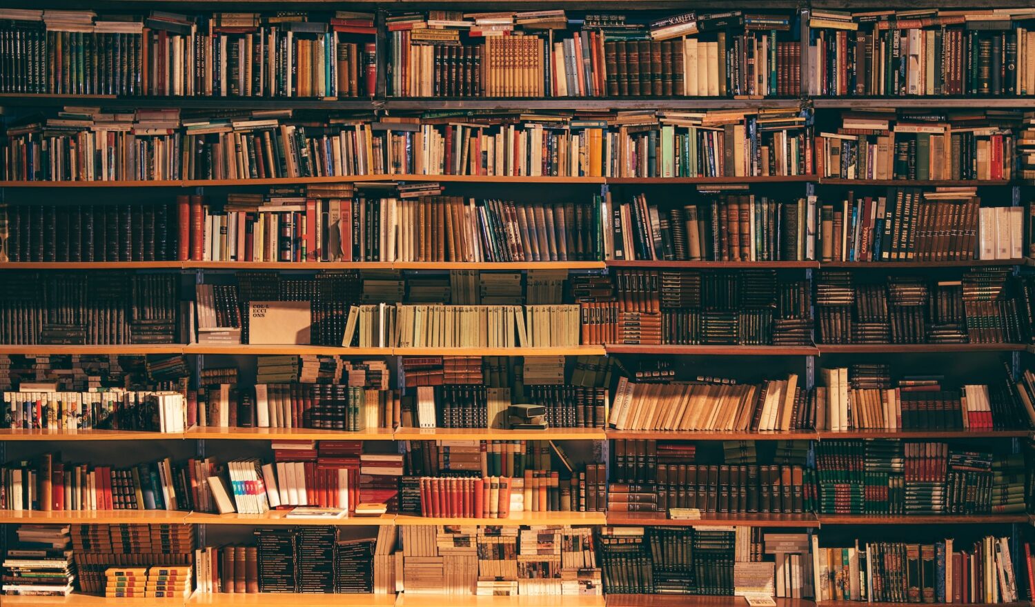 what was destroyed in the library of alexandria